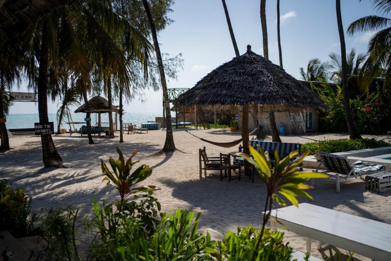 New Teddy'S On The Beach Jambiani  Exterior photo