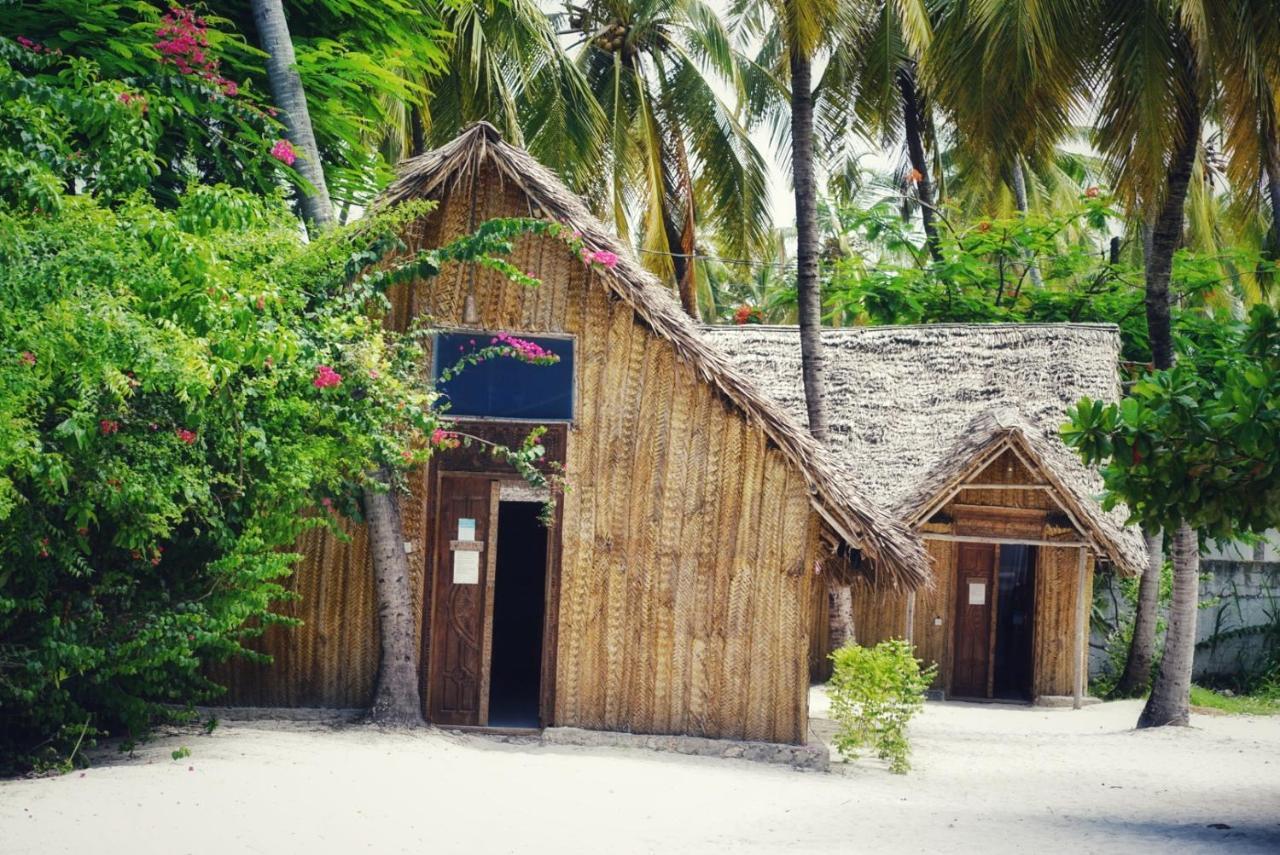 New Teddy'S On The Beach Jambiani  Exterior photo