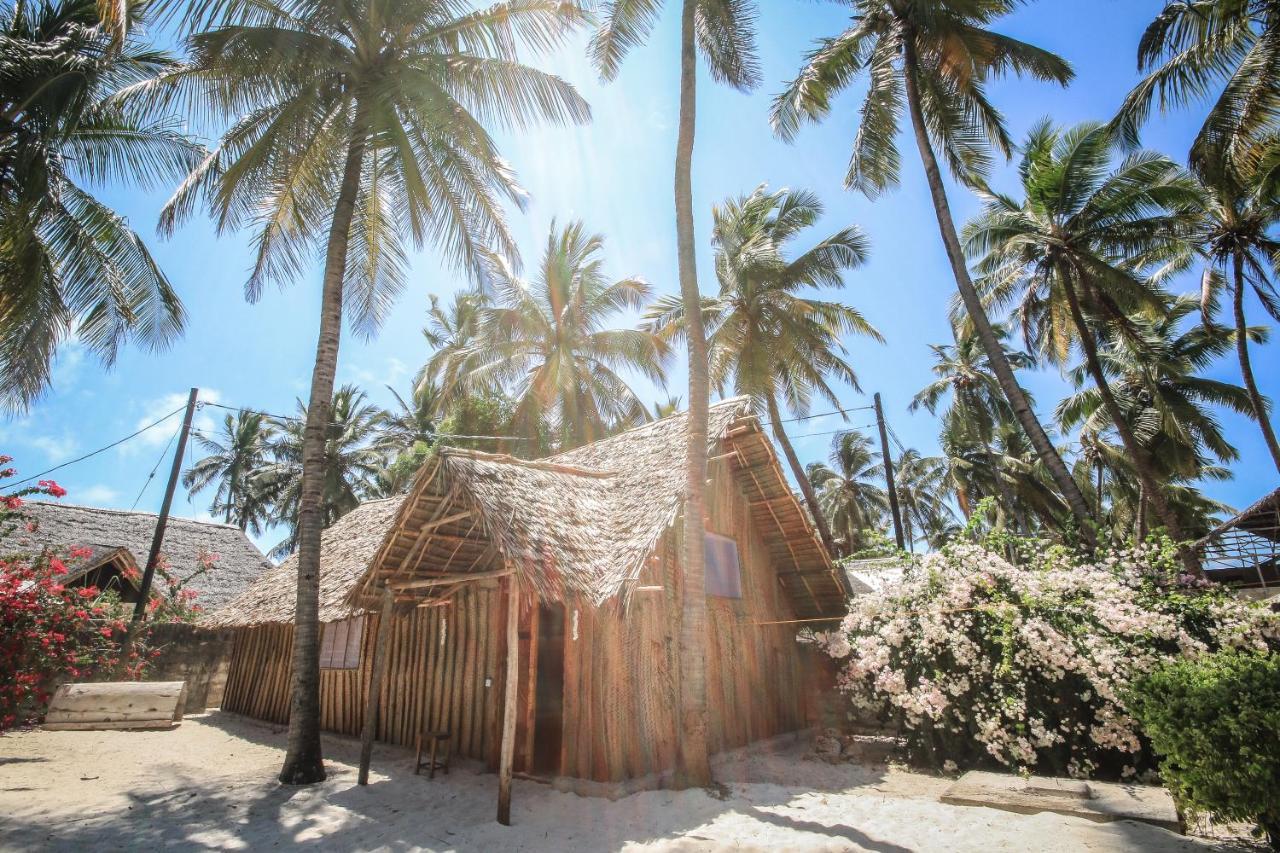New Teddy'S On The Beach Jambiani  Exterior photo